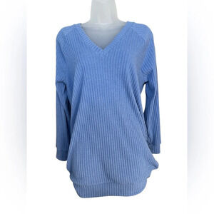 Wilfred by Aritzia Long Sleeve Oversized V-Neck Ribbed Sweater Periwinkle Sz XS